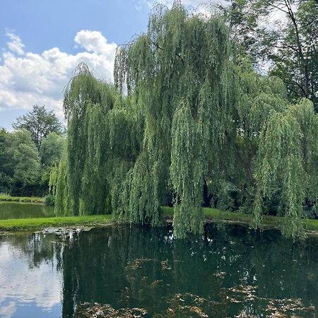 Restauracja I Noclegi Izba Rybacka W Krainie Wygaslych Wulkanow Podgorki Exteriör bild