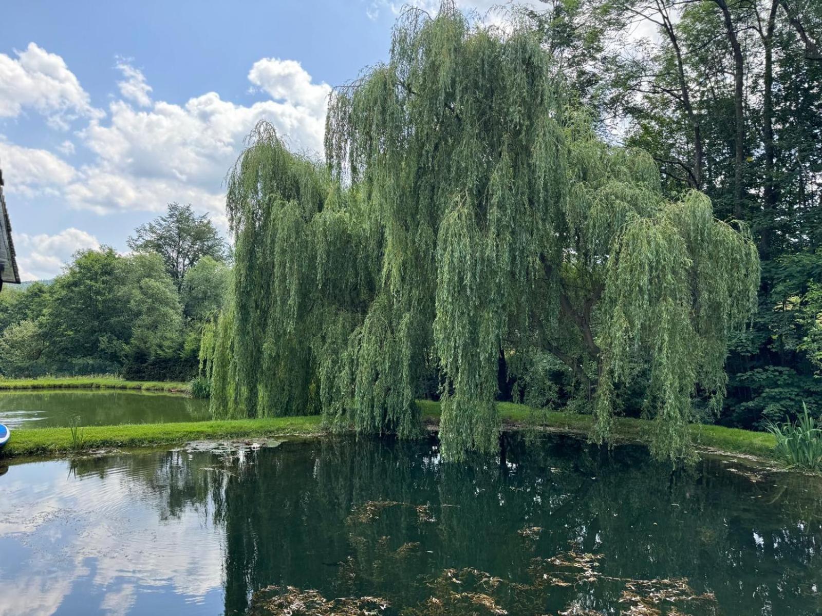 Restauracja I Noclegi Izba Rybacka W Krainie Wygaslych Wulkanow Podgorki Exteriör bild
